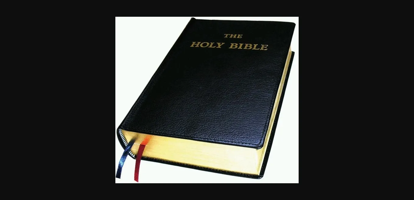 Wolf RPG Completed Introducing An Apprentice Incubus (M) [v2.2] [TashiKani] | Free Adult Games