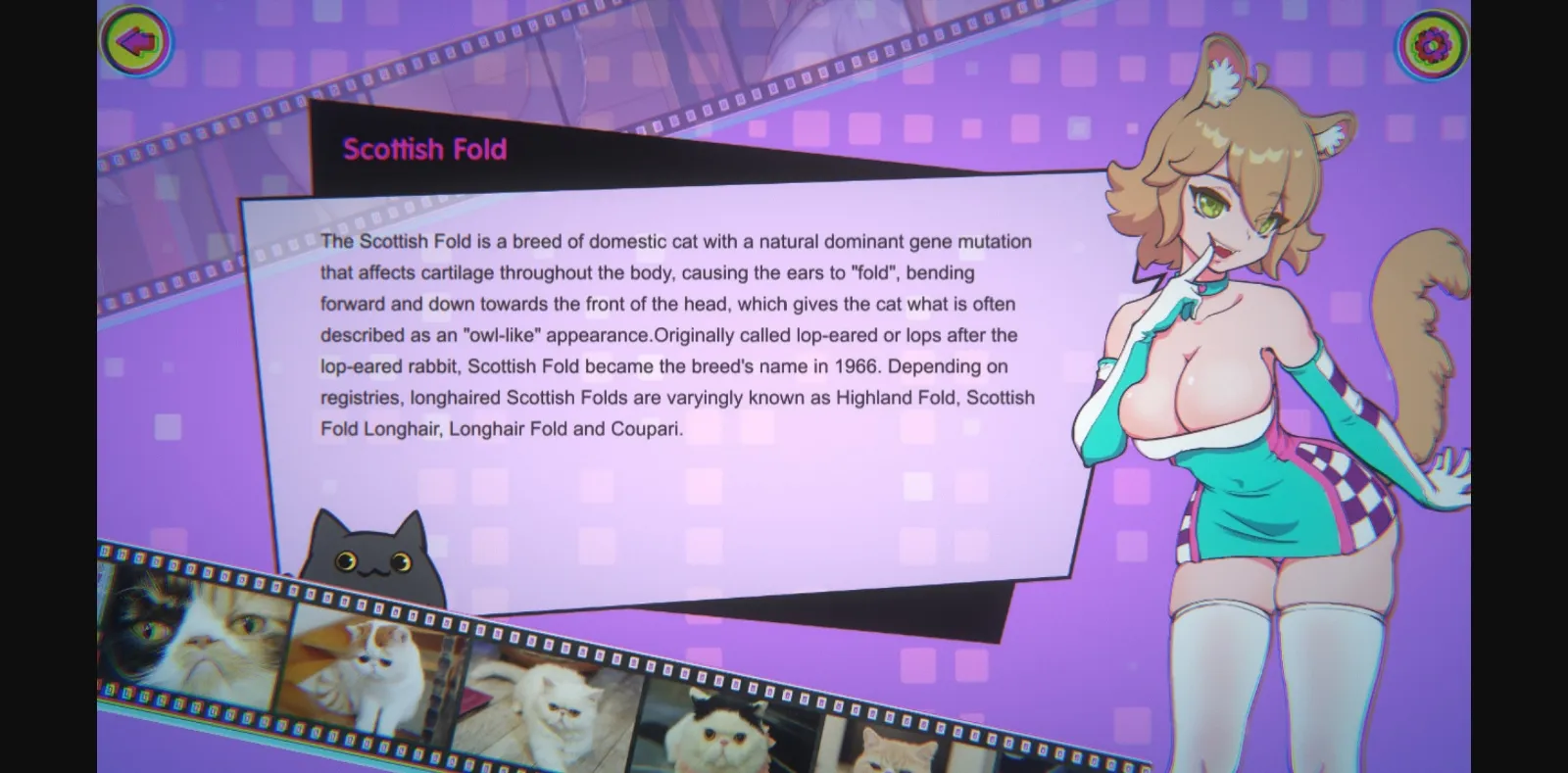 Unity Completed Miss Neko 3 [Final] [Double W] | Free Adult Games