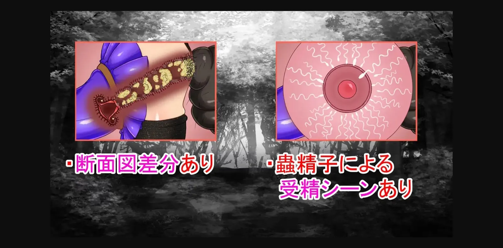 RPGM Completed NTRRPG Gaiden ~The Book of Insect Defilement~ [Final] [ATN] | Free Adult Games