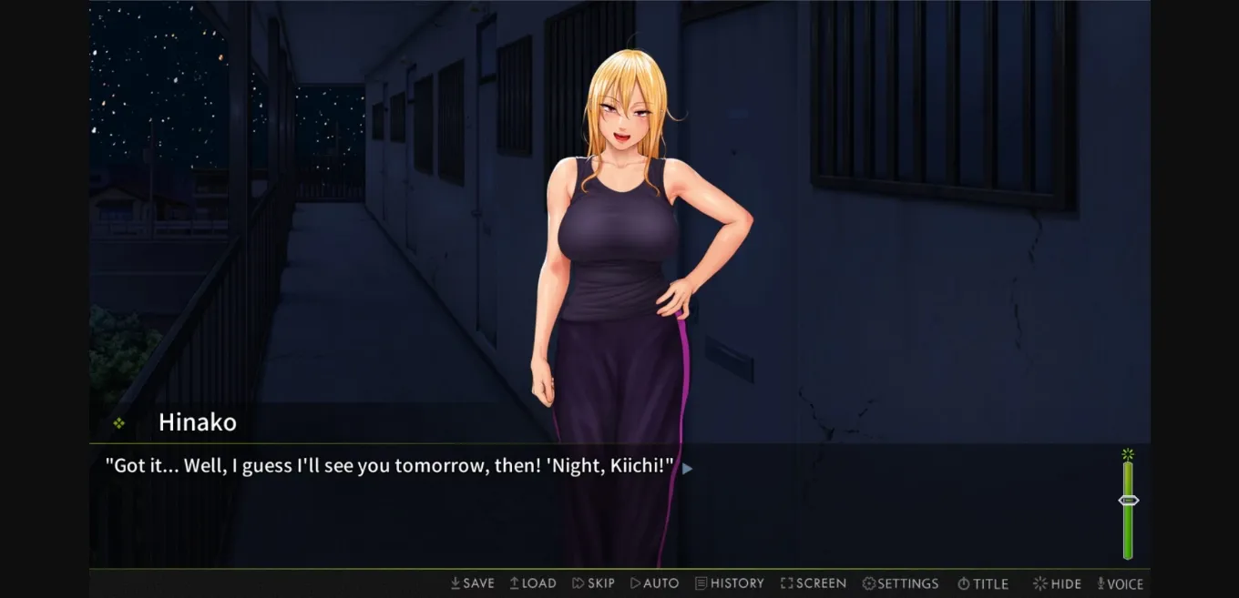 VN Others Completed Saving Mrs. Hinako [2024-03-11] [Studio Pork] | Free Adult Games