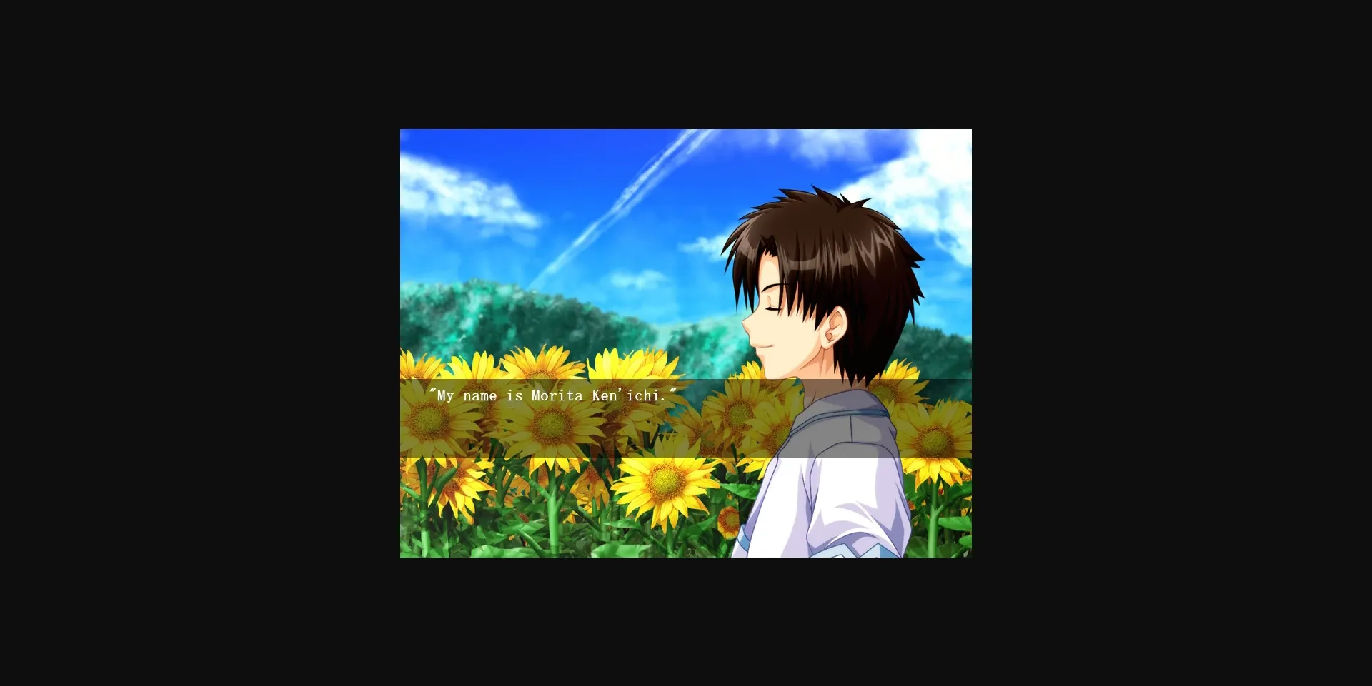 VN Others Completed Sharin no Kuni, Himawari no Shoujo [v1.02] [Akabei Soft2] | Free Adult Games