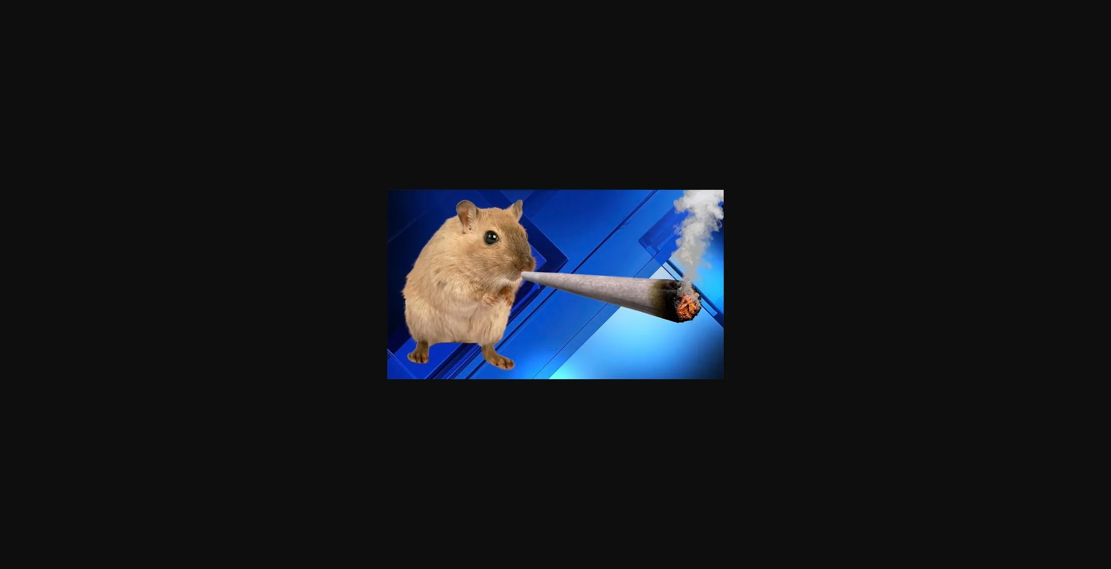 VN Ren'Py Abandoned Coom Club [v1.0] [Dirdead & Dreston] | Free Adult Games