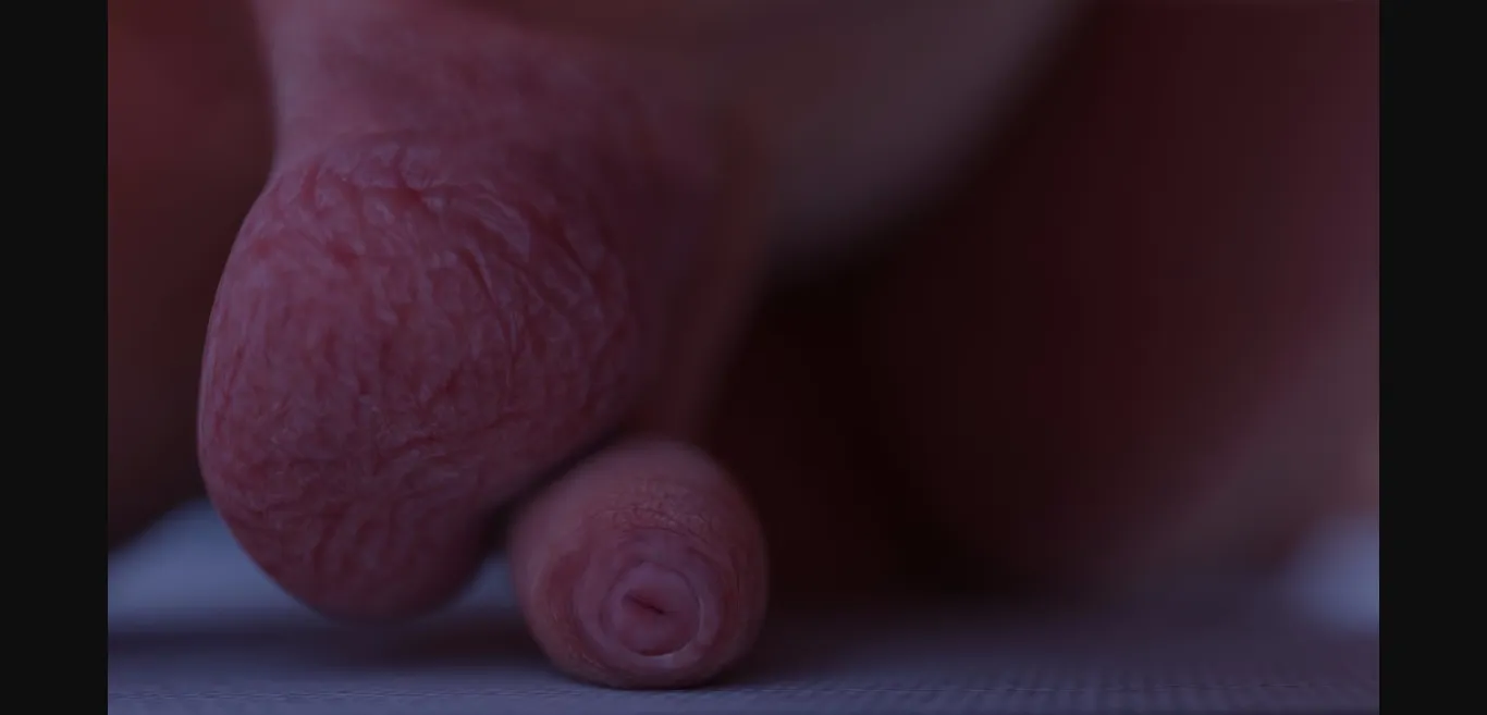 VN Ren'Py Arena of Thebes [v0.6] [MiloJunior] | Free Adult Games