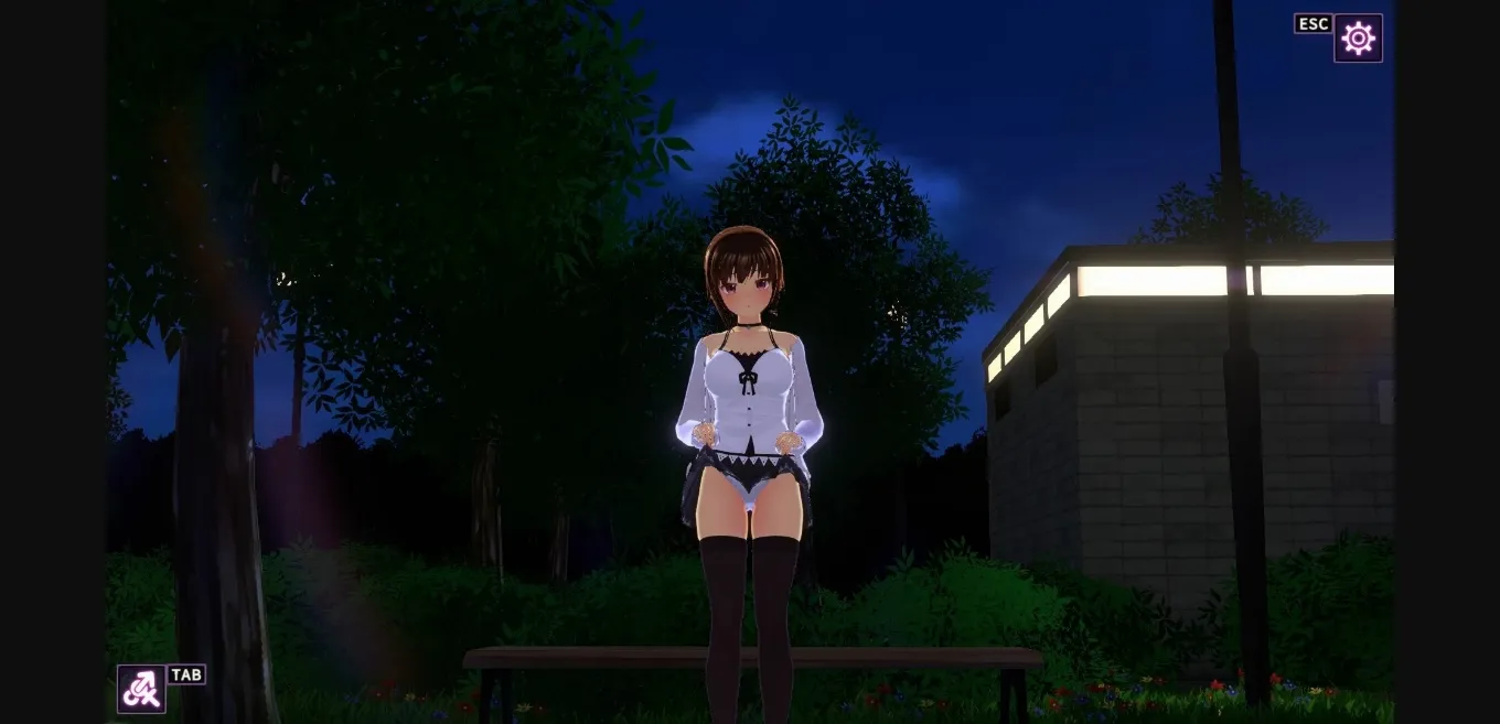 Unity Completed One Night ~Young Bride for One Night~ [v1.10] [blue arrow garden] | Free Adult Games