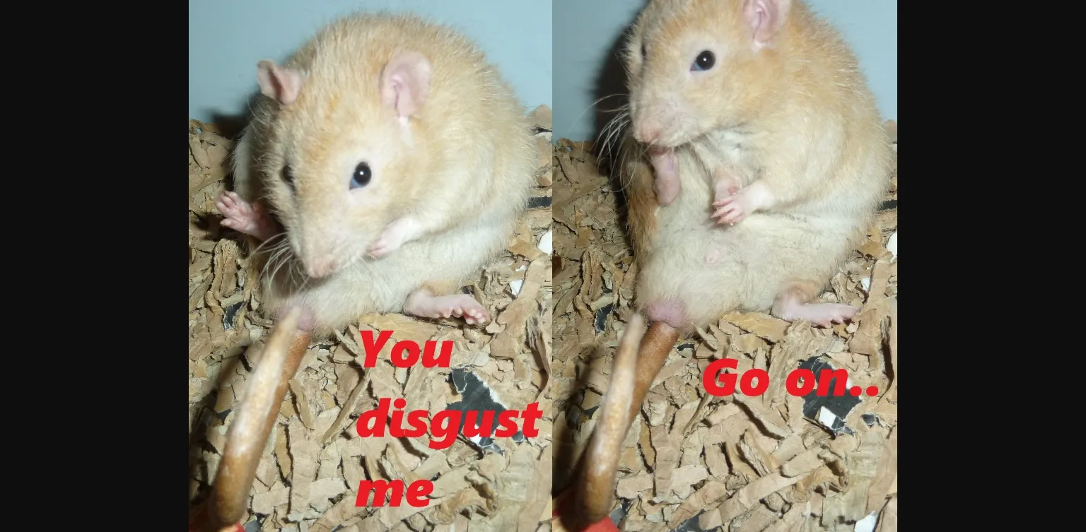 Unity Completed Syahata's Bad Day [v1.0.5] [JaShinn] | Free Adult Games