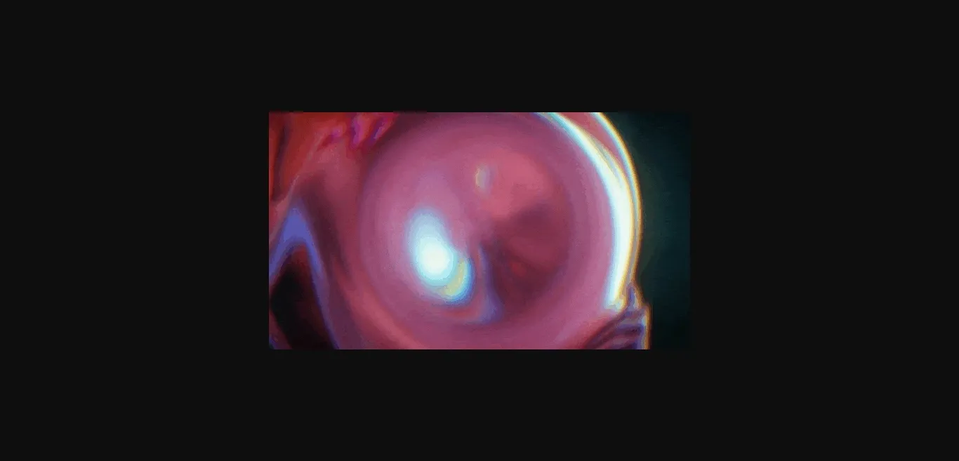 Unity Completed Zombie Survivals [Final] [Pirates Of The Digital Sea] | Free Adult Games