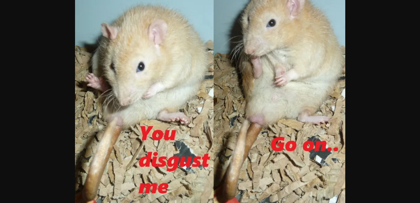 Unity Gwen's Summer Holidays [v1.1] [Perevorot] | Free Adult Games