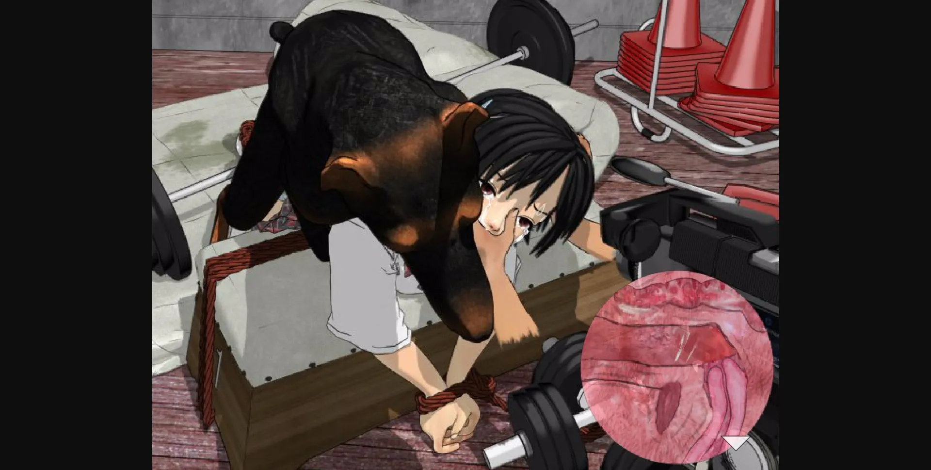 VN Flash Completed The Record of Beastiality Princess [v1.0] [Hexenhaus] | Free Adult Games