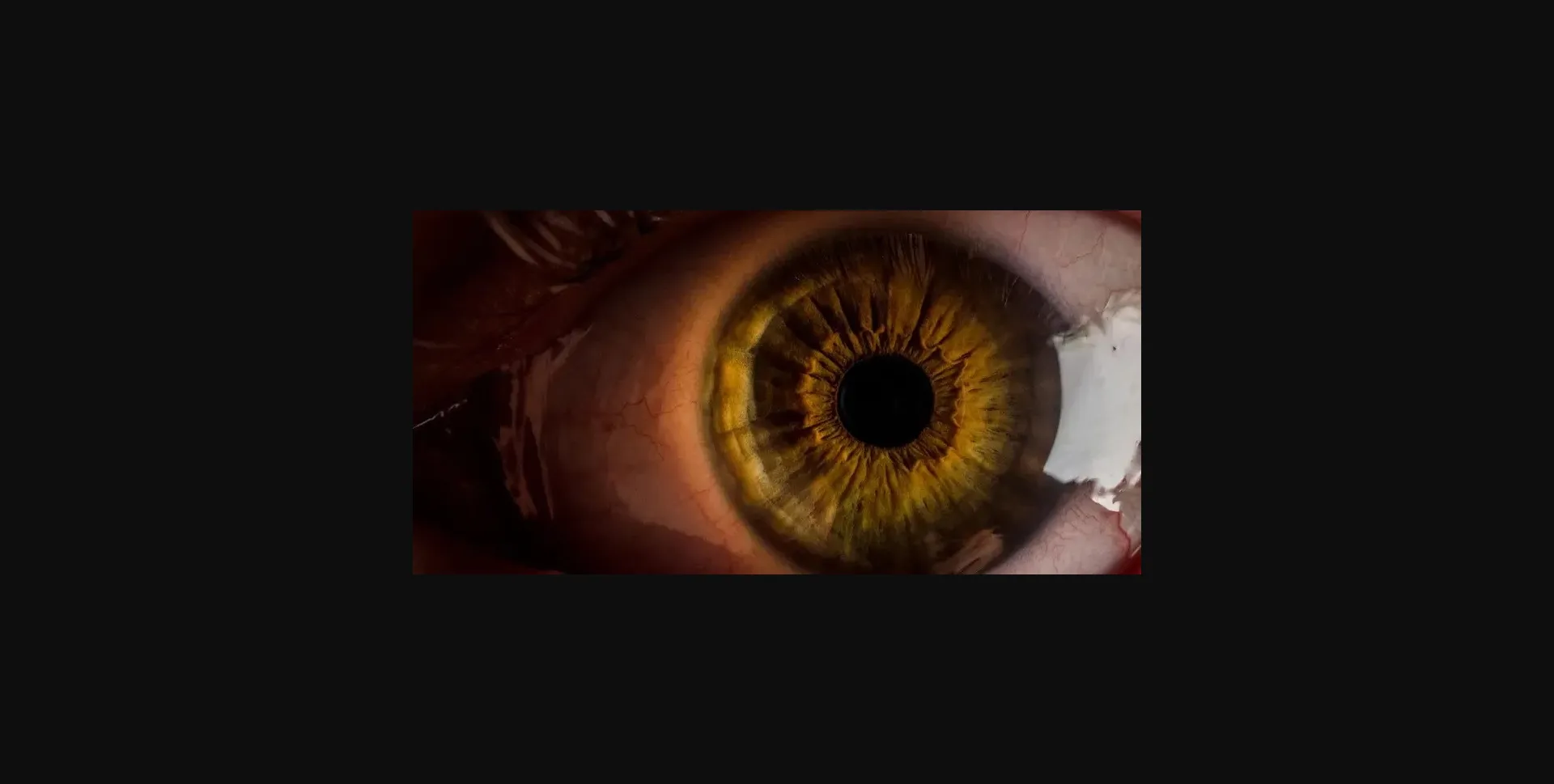 VN HTML Compendium of Short Stories [v0.08] [Liturgy] | Free Adult Games