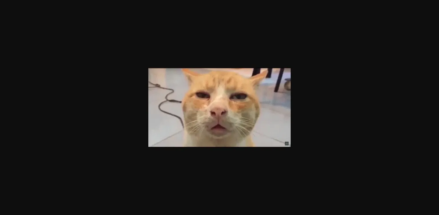 VN Others Completed Agent Entangle S [v1.0.0] [Caryo] | Free Adult Games