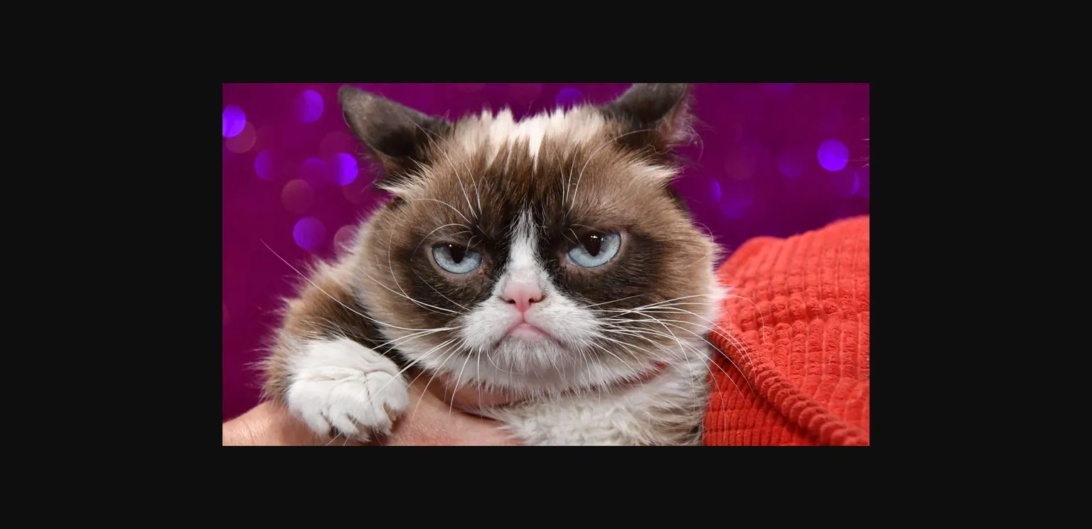 Ren'Py Abandoned Hope Is For Fools [v0.01] [Einherjar Studios] | Free Adult Games