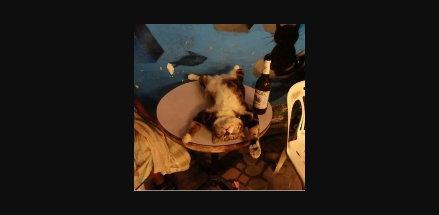 Ren'Py Abandoned Kin [v0.2] [Cool Bonobo] | Free Adult Games