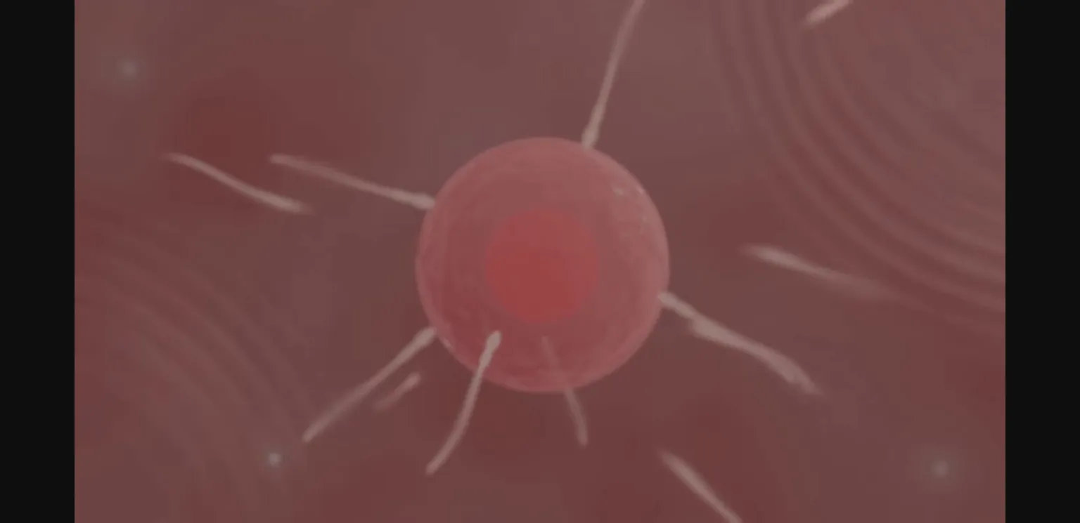 Ren'Py Completed Futanari Revolution [v1.0] [MrKhing] | Free Adult Games