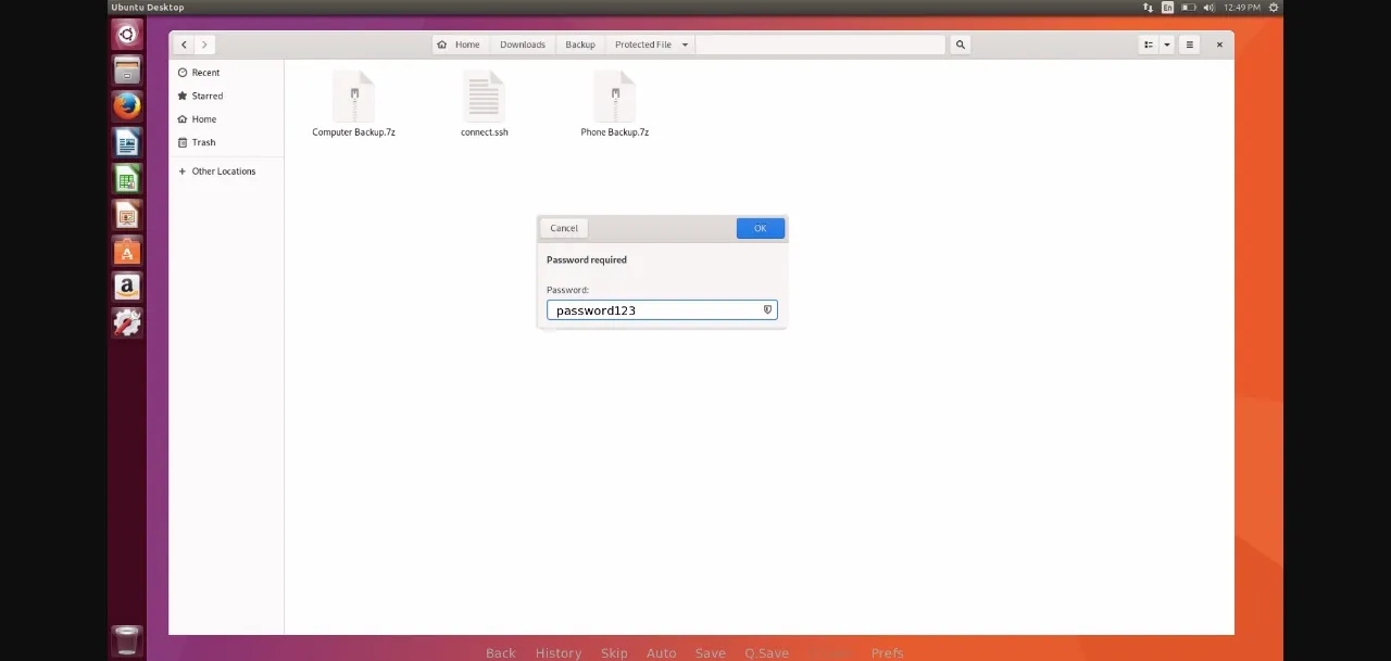 Ren'Py Completed Protected Files [v1.0] [gibbnatomon] | Free Adult Games