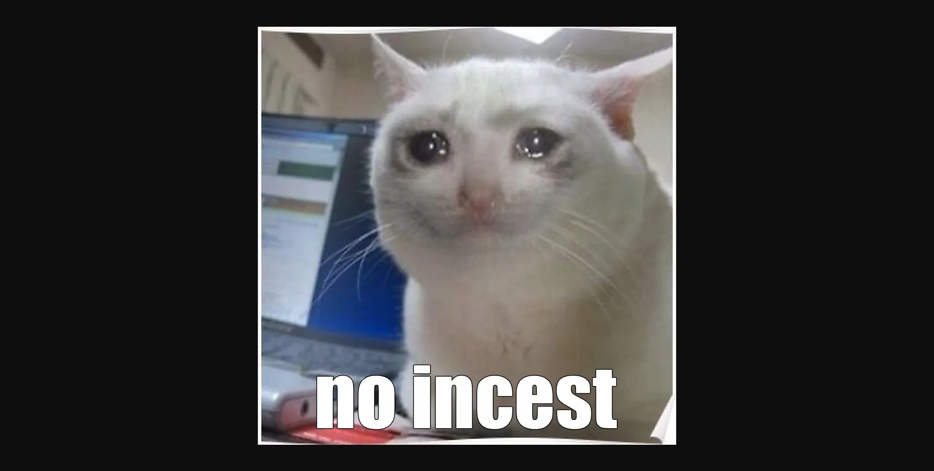 Ren'Py Mystery of Provenance [v0.1.0.f] [WID-3D] | Free Adult Games