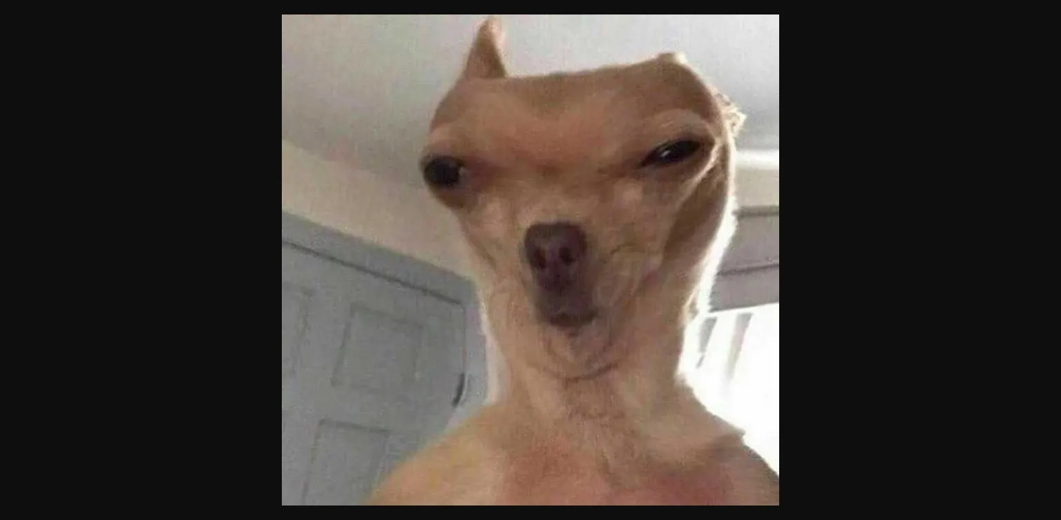 Ren'Py Tales of Terrara [v0.4.2a Patched] [Thunder One] | Free Adult Games